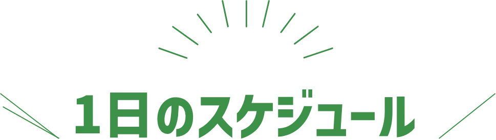 1日のスケジュール