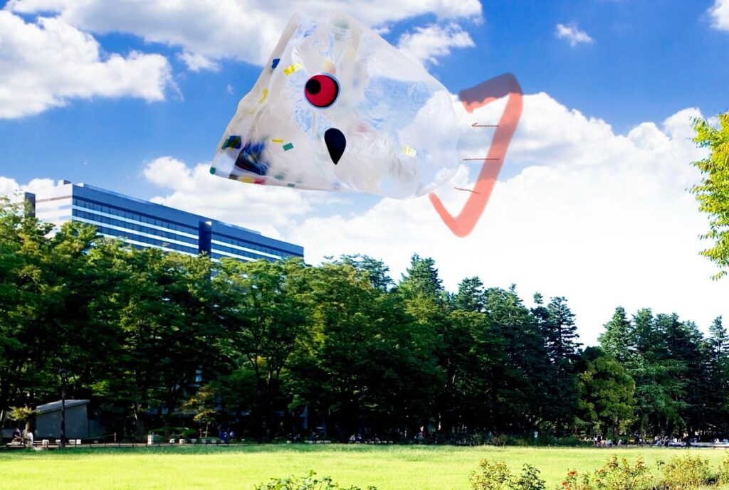こいのぼりを飛ばそう！